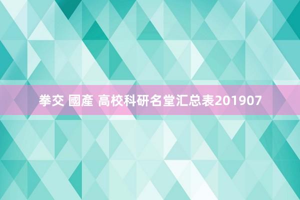拳交 國產 高校科研名堂汇总表201907