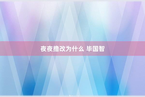 夜夜撸改为什么 毕国智