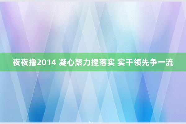 夜夜撸2014 凝心聚力捏落实 实干领先争一流