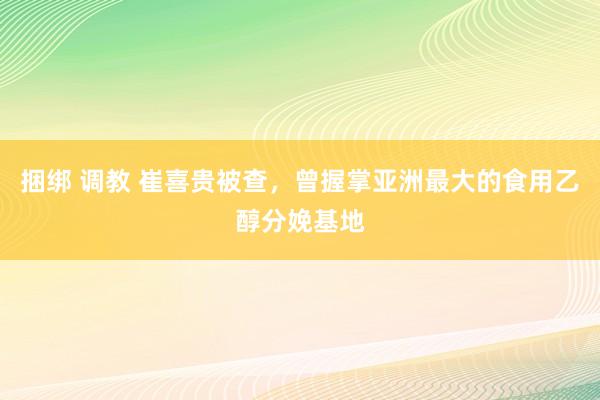捆绑 调教 崔喜贵被查，曾握掌亚洲最大的食用乙醇分娩基地