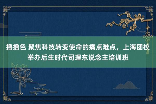 撸撸色 聚焦科技转变使命的痛点难点，上海团校举办后生时代司理东说念主培训班