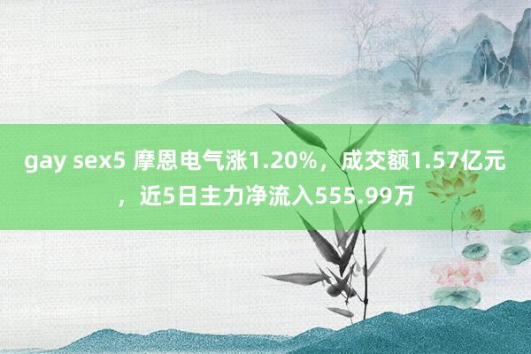 gay sex5 摩恩电气涨1.20%，成交额1.57亿元，近5日主力净流入555.99万