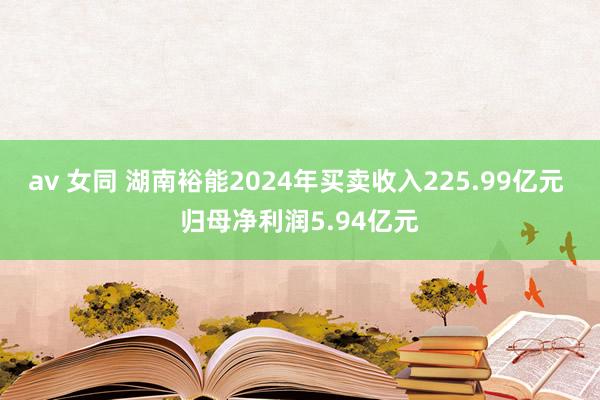 av 女同 湖南裕能2024年买卖收入225.99亿元 归母净利润5.94亿元