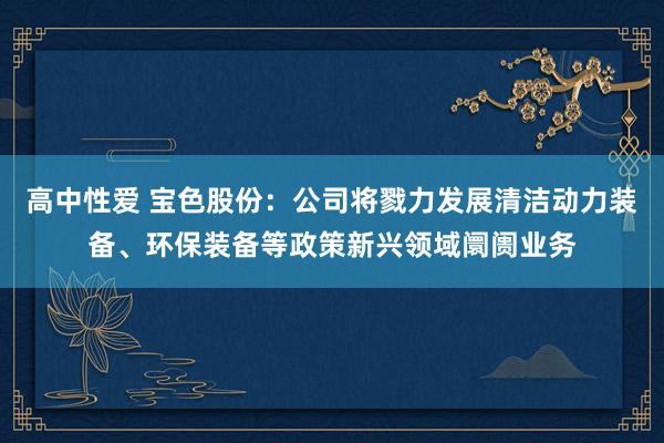 高中性爱 宝色股份：公司将戮力发展清洁动力装备、环保装备等政策新兴领域阛阓业务