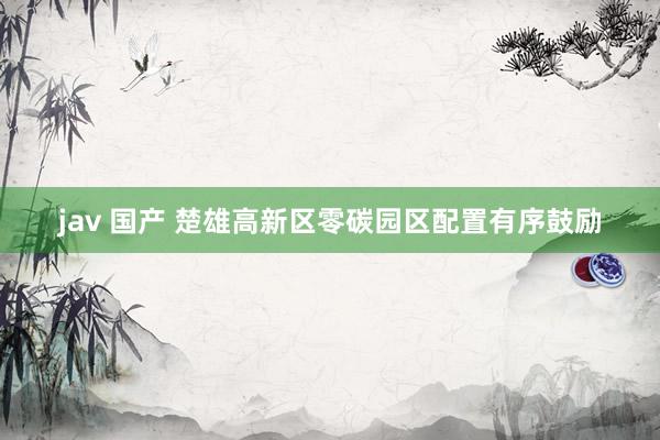 jav 国产 楚雄高新区零碳园区配置有序鼓励