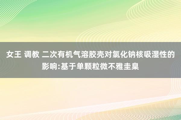 女王 调教 二次有机气溶胶壳对氯化钠核吸湿性的影响:基于单颗粒微不雅圭臬