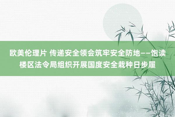欧美伦理片 传递安全领会筑牢安全防地——饱读楼区法令局组织开展国度安全栽种日步履