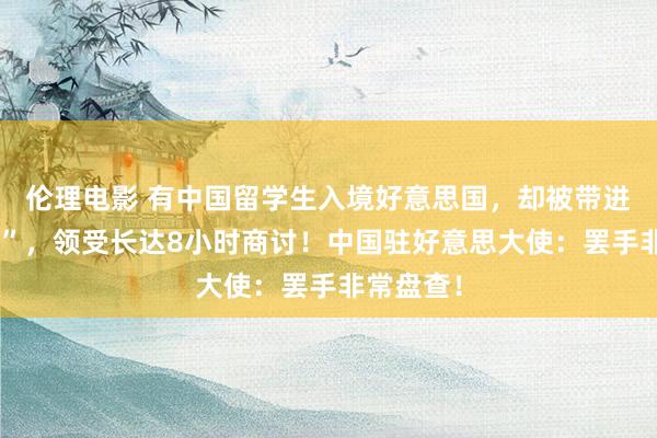 伦理电影 有中国留学生入境好意思国，却被带进“小黑屋”，领受长达8小时商讨！中国驻好意思大使：罢手非常盘查！