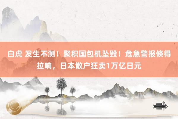 白虎 发生不测！聚积国包机坠毁！危急警报倏得拉响，日本散户狂卖1万亿日元