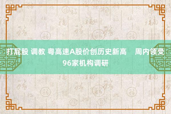 打屁股 调教 粤高速A股价创历史新高    周内领受96家机构调研