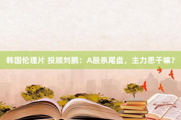 韩国伦理片 投顾刘鹏：A股杀尾盘，主力思干嘛？